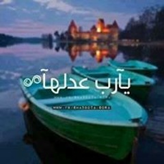 محمد المصرى