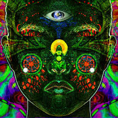 • COBRA official •