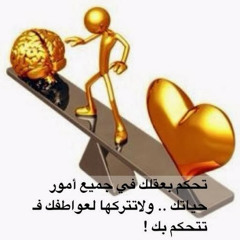 user78062189
