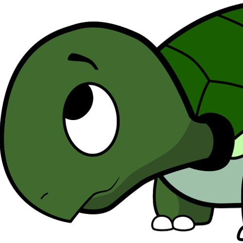 turtle born’s avatar
