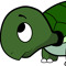 turtle born