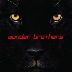 Wonder Brothers