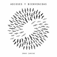 Omar Camino Cantautor