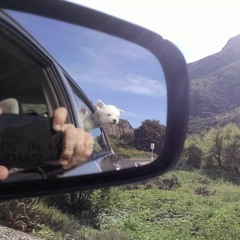ojedabreadsonfire