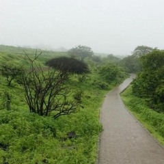 محب الخير
