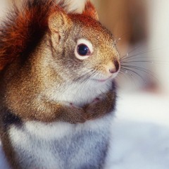 2Pac feat. Sinima - God Bless The Dead (DUBSTEPBASTER 2012)♫ Dubstep Life ♫