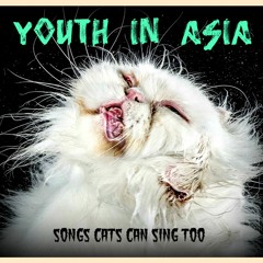 Youth In Asia