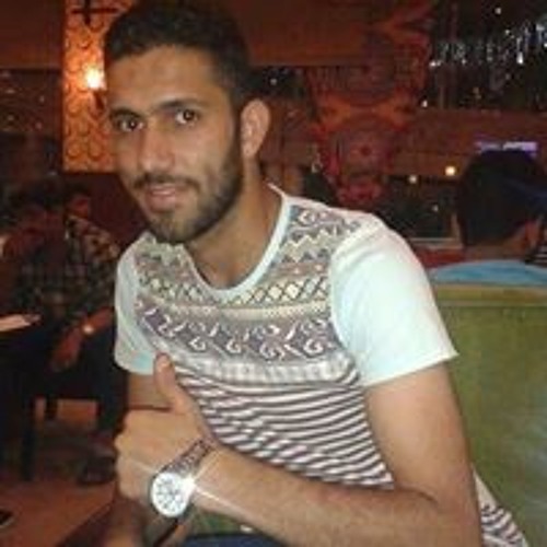 Mohamed Bec Elsadany’s avatar