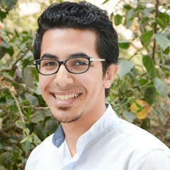 Ahmed Abdelaziz 13
