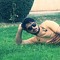 Ahmed1993