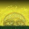 SuNNy1y