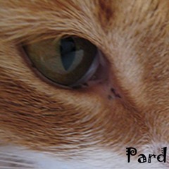 Pard open music marked