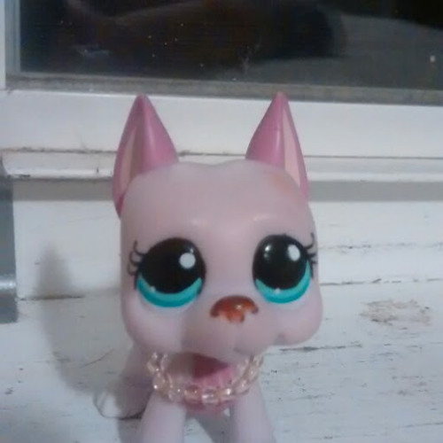 Lps Kitten’s avatar