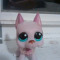 Lps Kitten