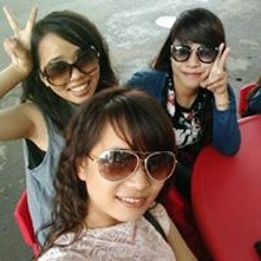 Mèo Lười