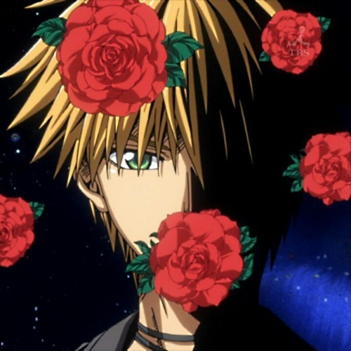 Stream anime_fanatic music Listen to songs, albums, playlists for