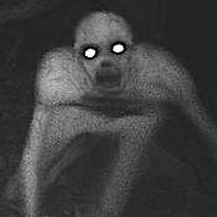 Kaleb Husom