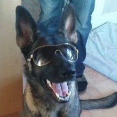 Björnen