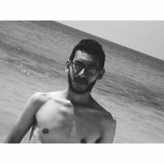 Amr M. Hussein