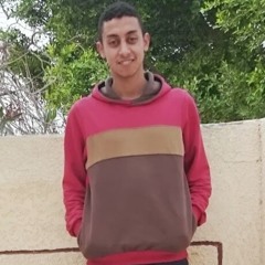 Hassan Essam