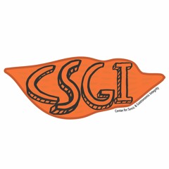 CSGI official