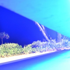 BlueNight