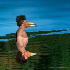 L     A     Z     A     R