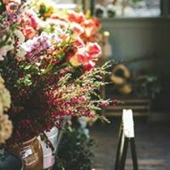 Menna Mohammed Abdellatef