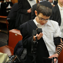 Eli moshe bogomilsky