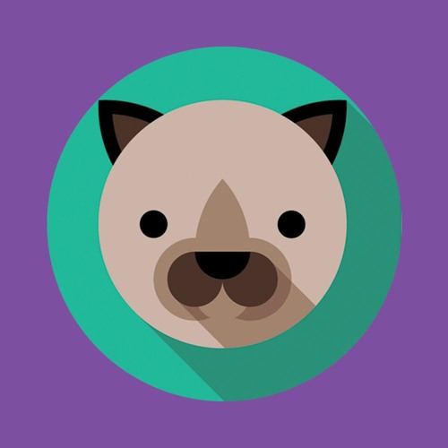 Stream HOUSE EDM ZOO music Listen to songs, albums, playlists for