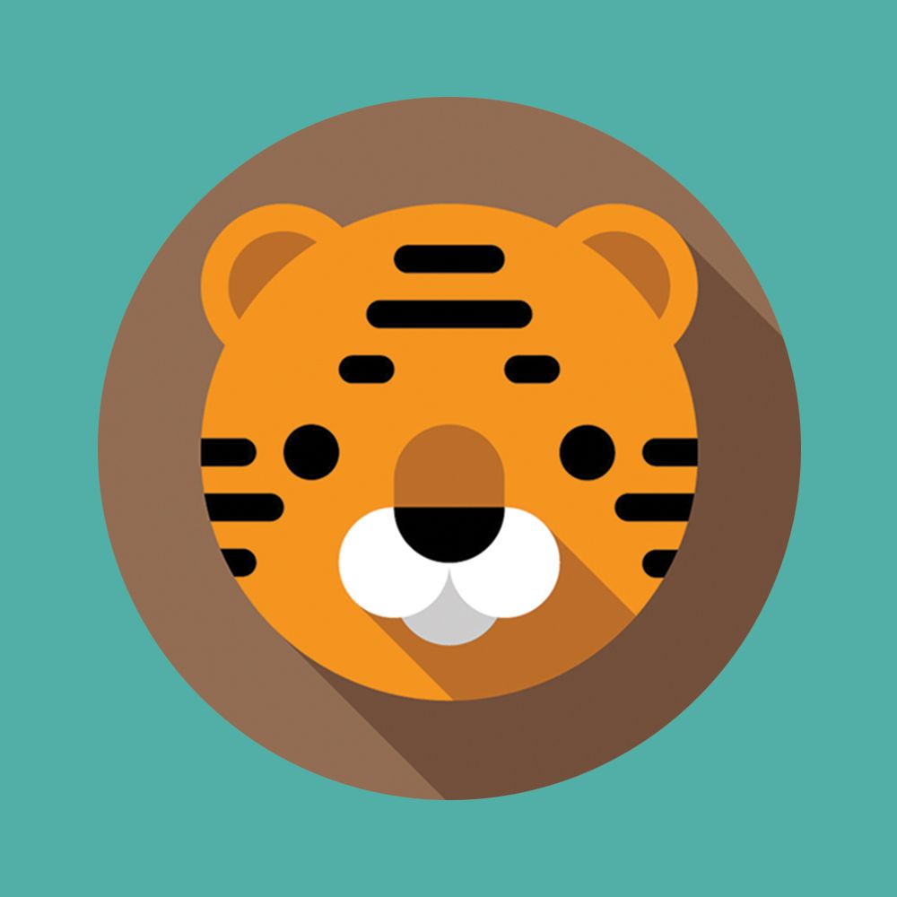 ELECTRO - EDM ZOO