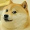 LeDerpChris