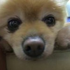 佐藤優樹