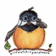 birdwatchingandmore