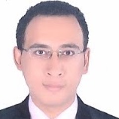 Mohamed Abd El Naby