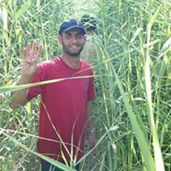 محمد زياد أبو يحيى