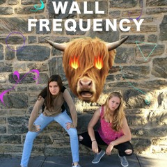 Wall Frequency