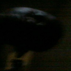 Nelson malik68@gamil.com