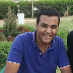 Moustafa Nassr El Shemy