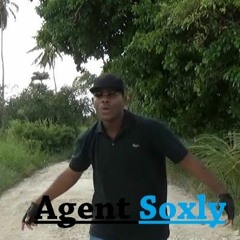 Agent Soxly