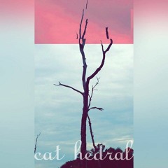 Cat Hedral