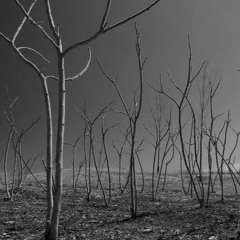 Unaussprechlichen kulten