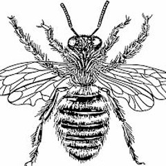 Bzzz