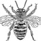 Bzzz