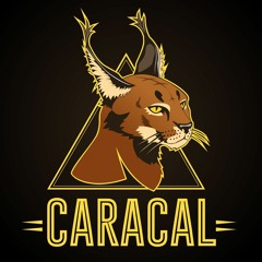 Caracal