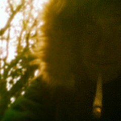 harryblunting