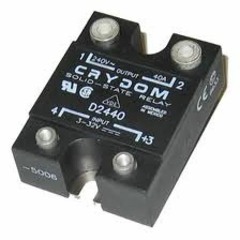 Brodie dumb strum Elkins