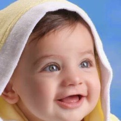 Seham Elhenawy