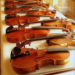 violincommunity