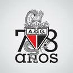 Vinícius Machado Leones